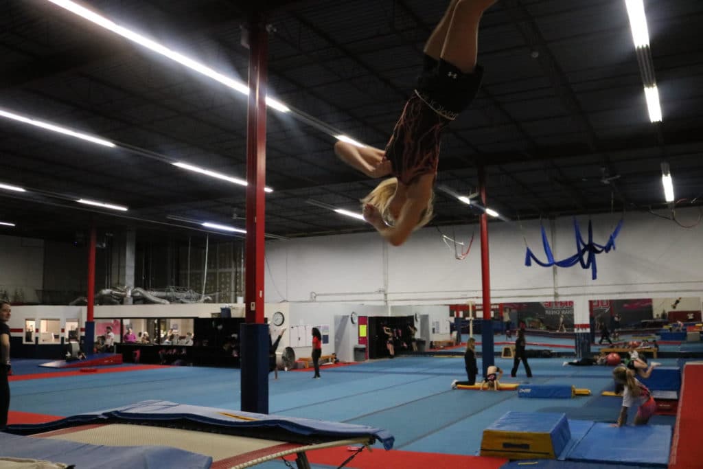 Aerial, Trampoline, Tumbling Acrobatics